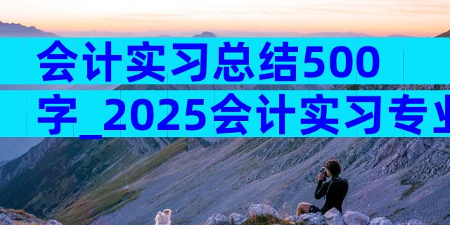 会计实习总结500字_2025会计实习专业个人小结（通用11篇）
