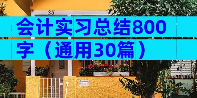 会计实习总结800字（通用30篇）