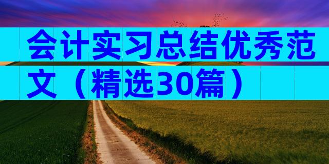 会计实习总结优秀范文（精选30篇）