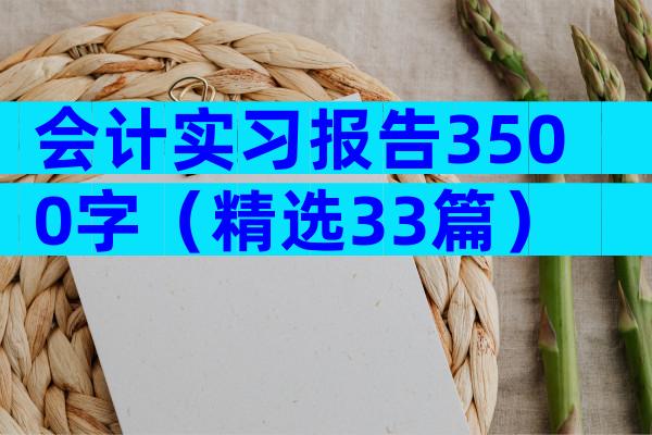 会计实习报告3500字（精选33篇）