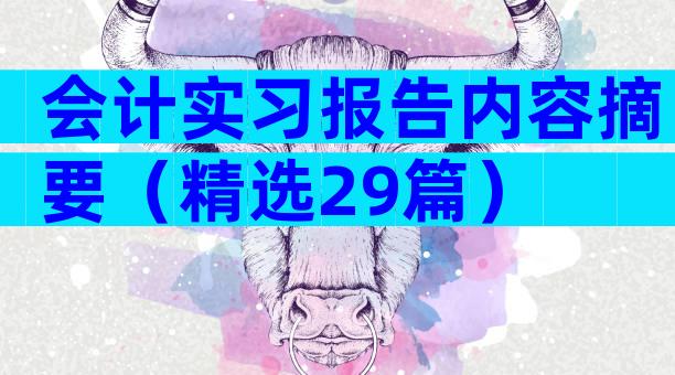 会计实习报告内容摘要（精选29篇）