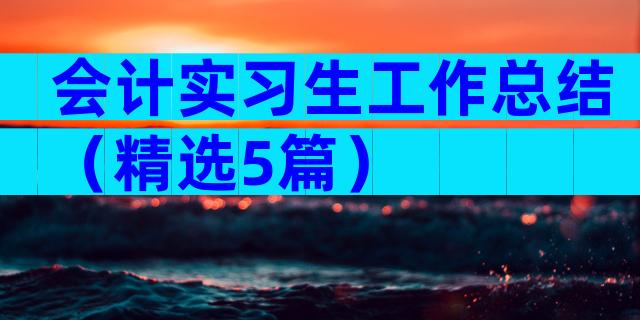会计实习生工作总结（精选5篇）