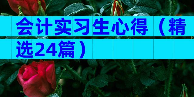 会计实习生心得（精选24篇）