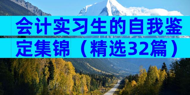 会计实习生的自我鉴定集锦（精选32篇）