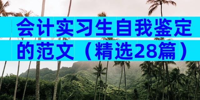 会计实习生自我鉴定的范文（精选28篇）