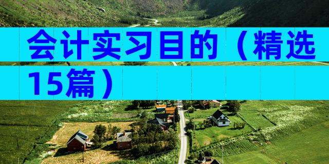 会计实习目的（精选15篇）