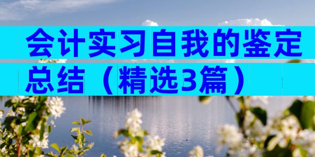 会计实习自我的鉴定总结（精选3篇）