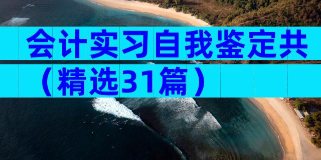 会计实习自我鉴定共（精选31篇）