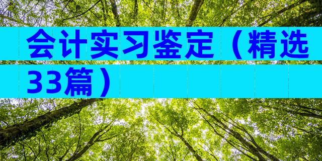 会计实习鉴定（精选33篇）