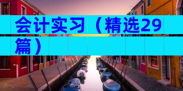 会计实习（精选29篇）