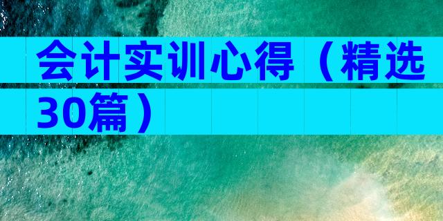会计实训心得（精选30篇）