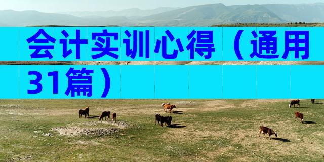 会计实训心得（通用31篇）