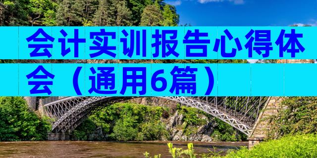 会计实训报告心得体会（通用6篇）
