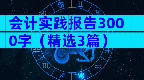 会计实践报告3000字（精选3篇）