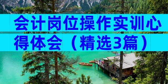 会计岗位操作实训心得体会（精选3篇）