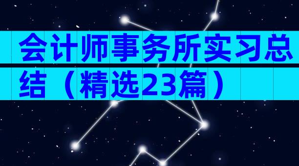 会计师事务所实习总结（精选23篇）