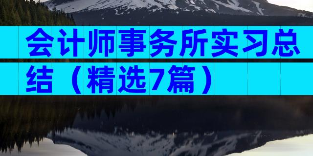 会计师事务所实习总结（精选7篇）