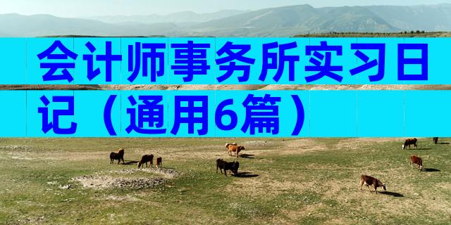会计师事务所实习日记（通用6篇）