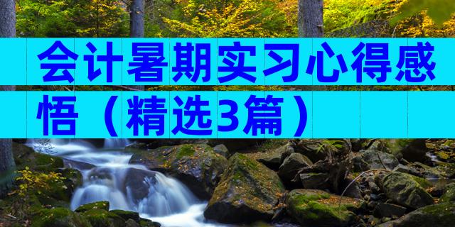 会计暑期实习心得感悟（精选3篇）
