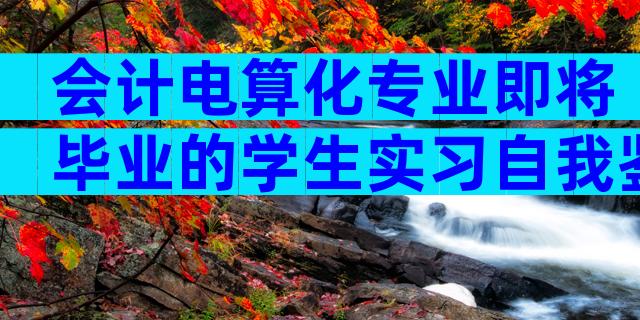 会计电算化专业即将毕业的学生实习自我鉴定（通用22篇）