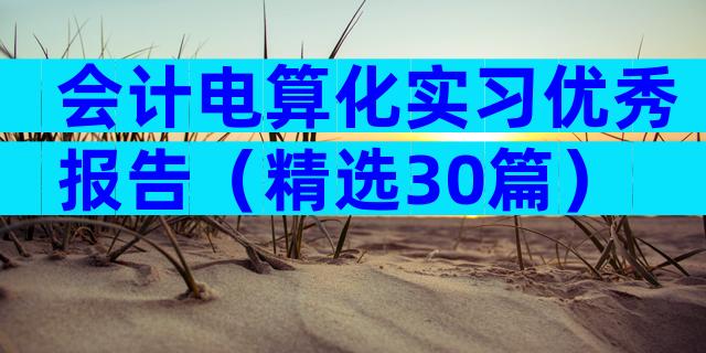 会计电算化实习优秀报告（精选30篇）