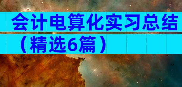 会计电算化实习总结（精选6篇）