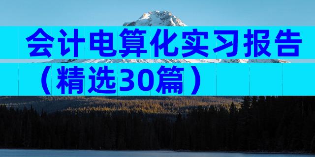会计电算化实习报告（精选30篇）