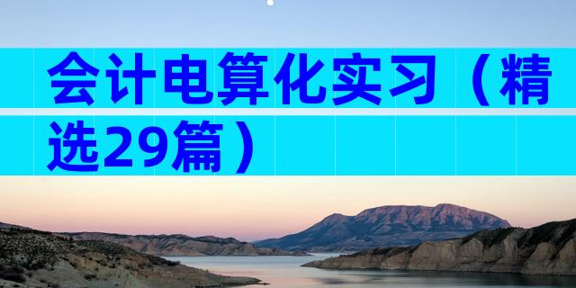 会计电算化实习（精选29篇）