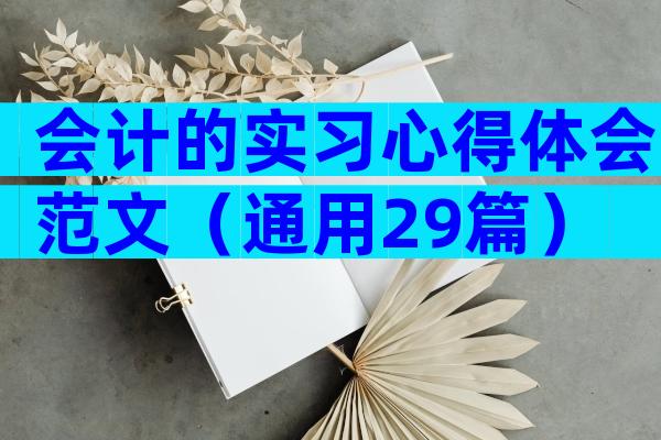 会计的实习心得体会范文（通用29篇）
