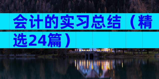 会计的实习总结（精选24篇）