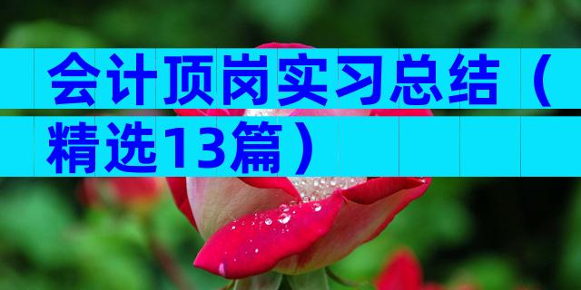 会计顶岗实习总结（精选13篇）