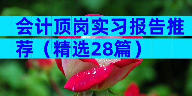 会计顶岗实习报告推荐（精选28篇）