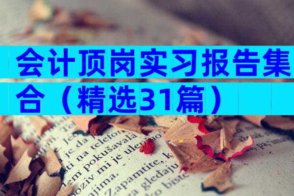 会计顶岗实习报告集合（精选31篇）