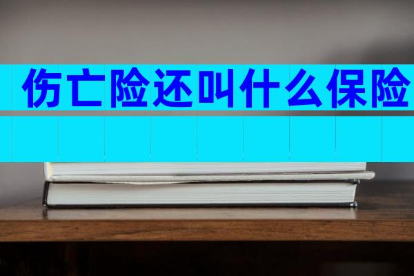 伤亡险还叫什么保险