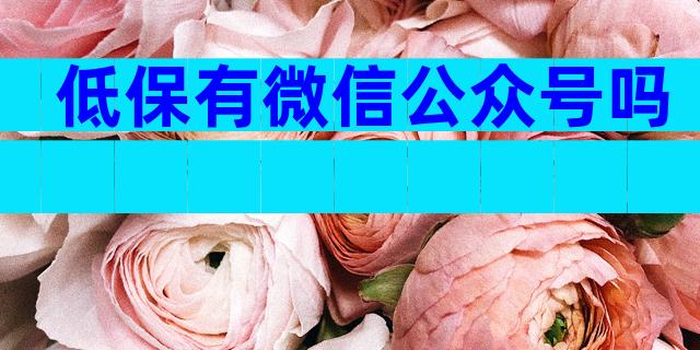 低保有微信公众号吗