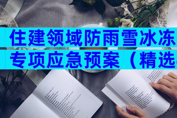 住建领域防雨雪冰冻专项应急预案（精选4篇）