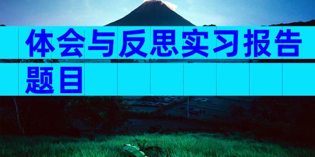 体会与反思实习报告题目