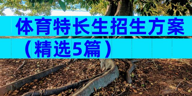 体育特长生招生方案（精选5篇）