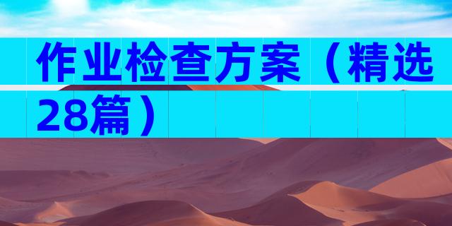 作业检查方案（精选28篇）