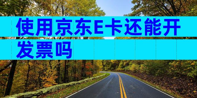 使用京东E卡还能开发票吗
