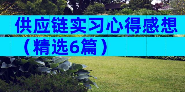 供应链实习心得感想（精选6篇）