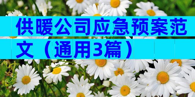 供暖公司应急预案范文（通用3篇）