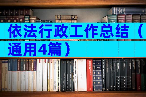 依法行政工作总结（通用4篇）