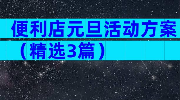 便利店元旦活动方案（精选3篇）