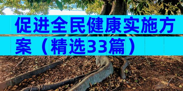 促进全民健康实施方案（精选33篇）