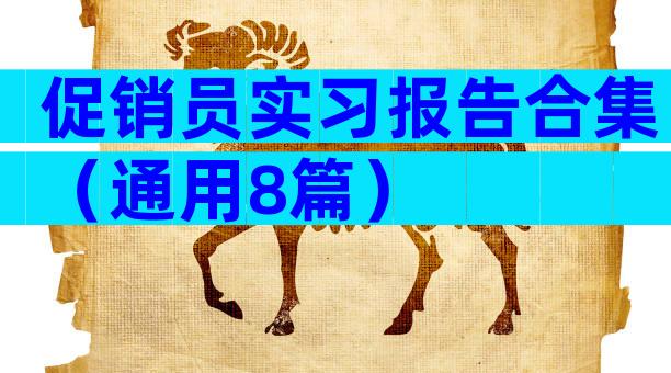 促销员实习报告合集（通用8篇）