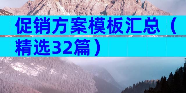 促销方案模板汇总（精选32篇）