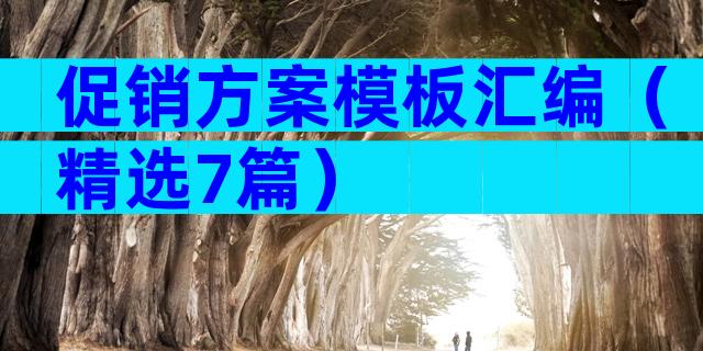 促销方案模板汇编（精选7篇）
