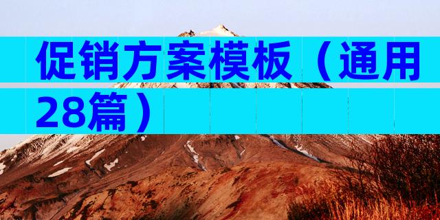 促销方案模板（通用28篇）