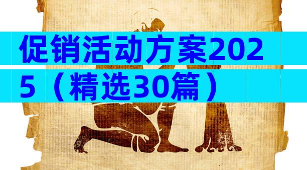 促销活动方案2025（精选30篇）